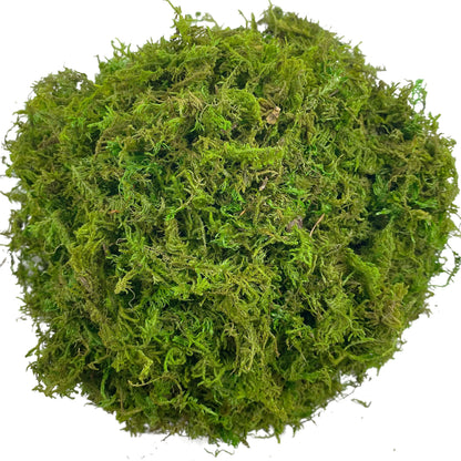 Artificial Moss Green for Potted Plants Orchid Potting Mix Craft