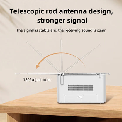Portable Rechargeable Digital FM Port Device Speaker USB Handheld