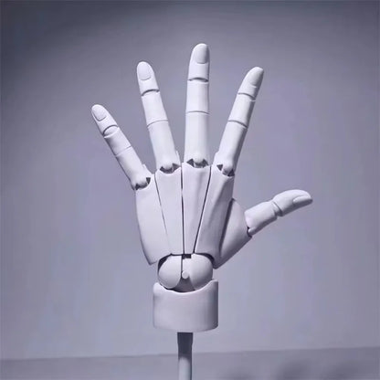 Articulated Hand Model for Drawing, Sketch Artist Painting Sculpture Finger Joint Figurine Figma Doll House Decor