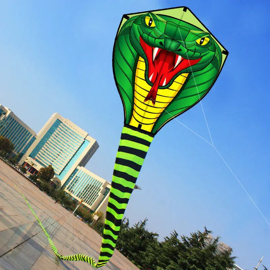Long Colorful Tail Snake Kite 8m Huge Beginner Kite for Adults