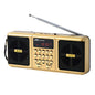 Portable FM Radio Speaker Bluetooth MP3 Player USB Rechargeable Digital
