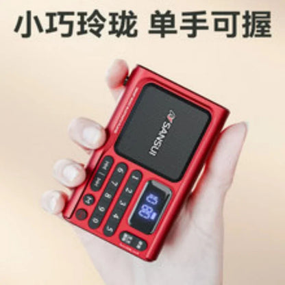 Wireless Bluetooth Speaker Portable Digital Music Player FM Radio