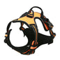 For Dogs Leather Collars Harness Vests Leash Puppy Accessories
