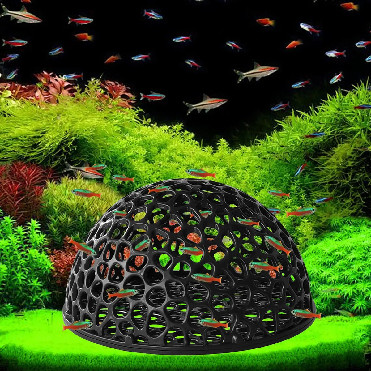 Shrimp Breeding Cave Aquarium Decoration Hiding Place for Betta Fish