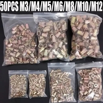 50PCS M3 M4 M5 M6 M8 M10 M12 Rivet Nuts Tools Carbon Steel Rivnuts Blindnuts Nuts Insert Rivet Multi Sizes Tools