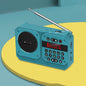 Mini Bluetooth Speaker Portable FM Radio USB TF Card Player