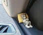 Cartoon Tom Cat Jerry Mouse Figurine Cute Desk Car Home Ornament Decoration Toy