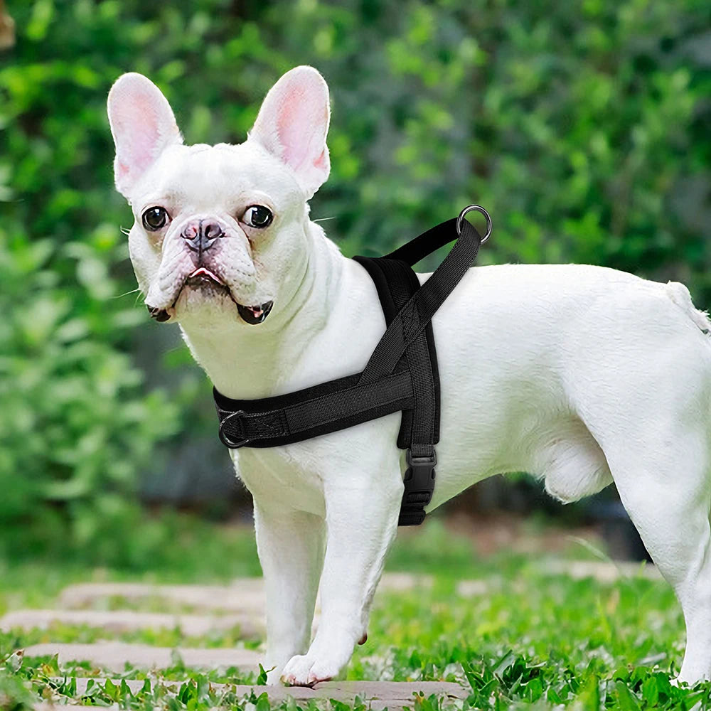Padded Dog Harness Vest Adjustable Reflective No Pull Soft Puppy Pet