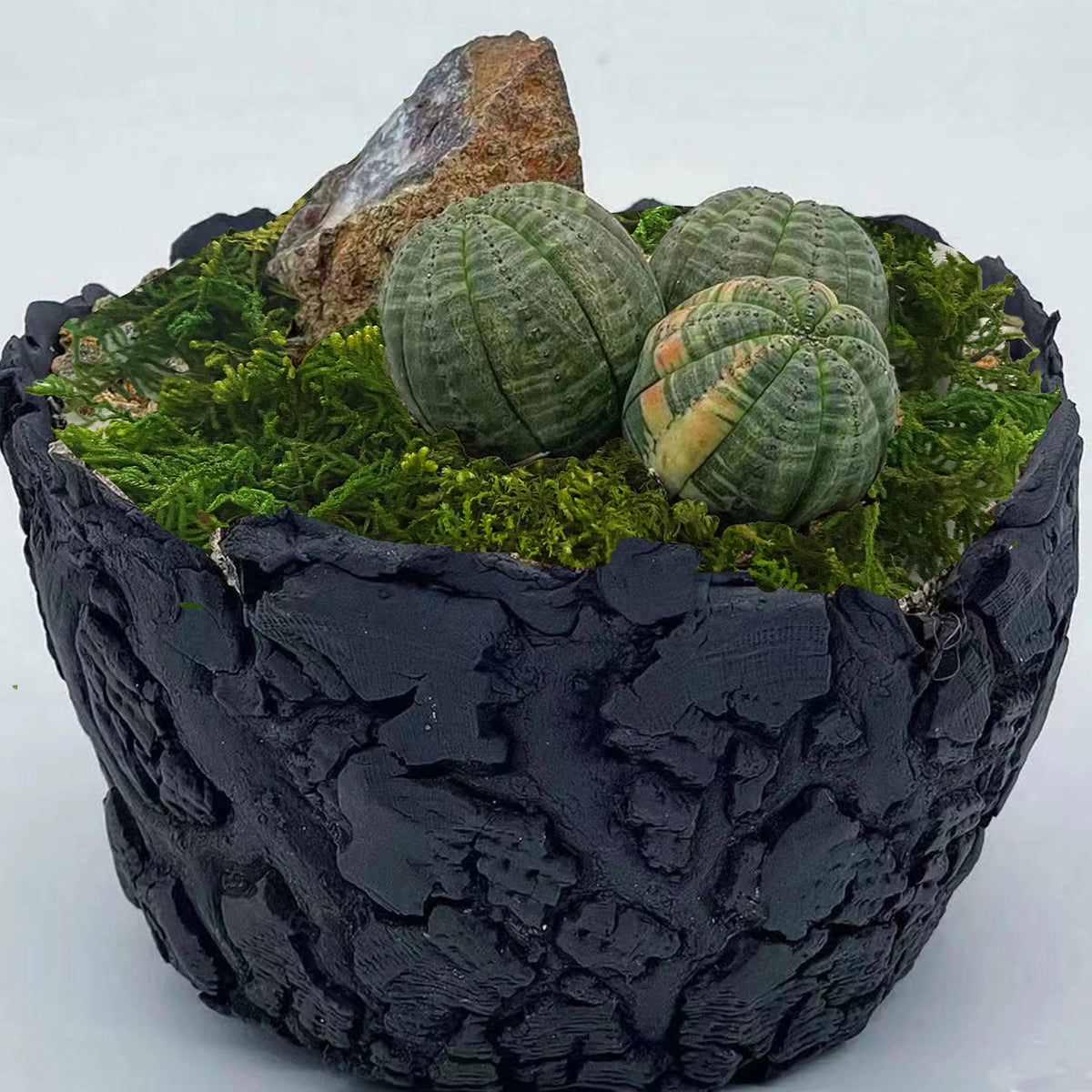 Artificial Moss Green for Potted Plants Orchid Potting Mix Craft