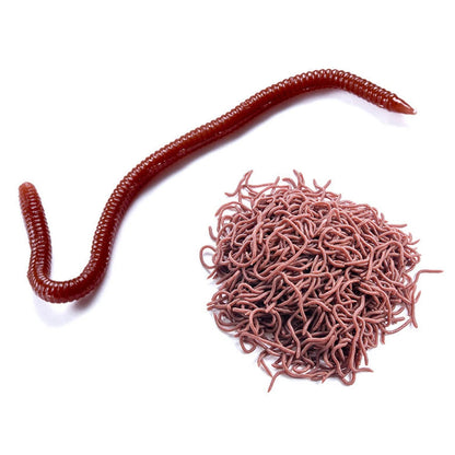 50Pcs Fishing Lures Soft Baits Artificial Worms 8cm Trout Tackle