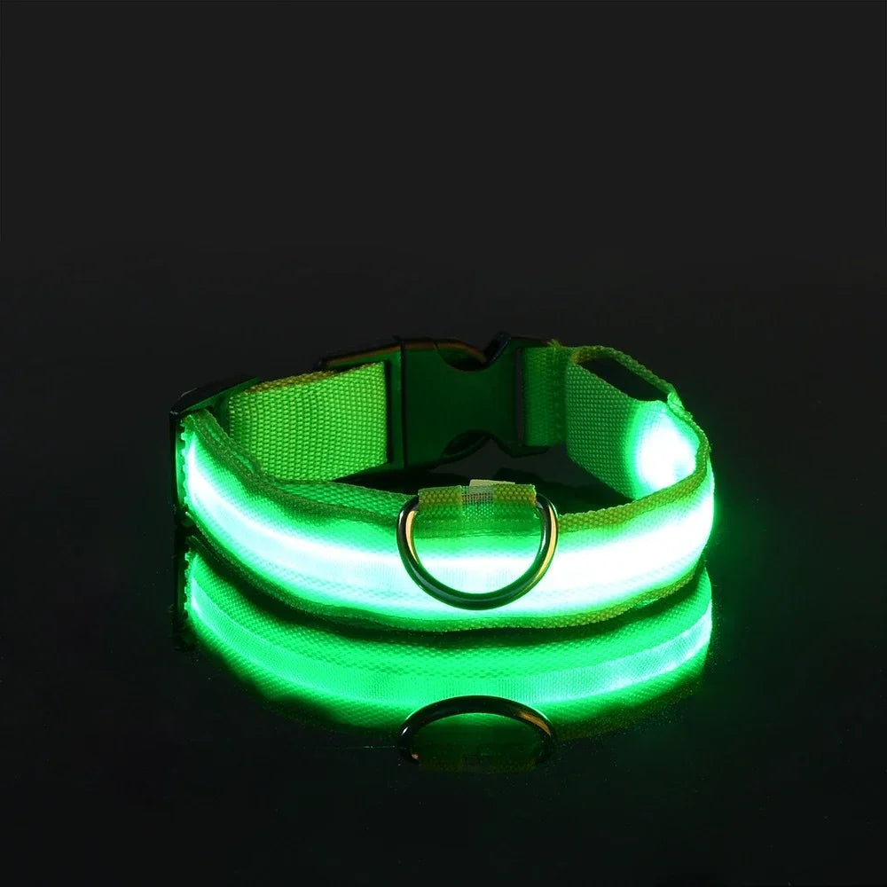 Dog Collar Nylon LED Glow Night Safety Leash Luminous Flashing Pet Accessories