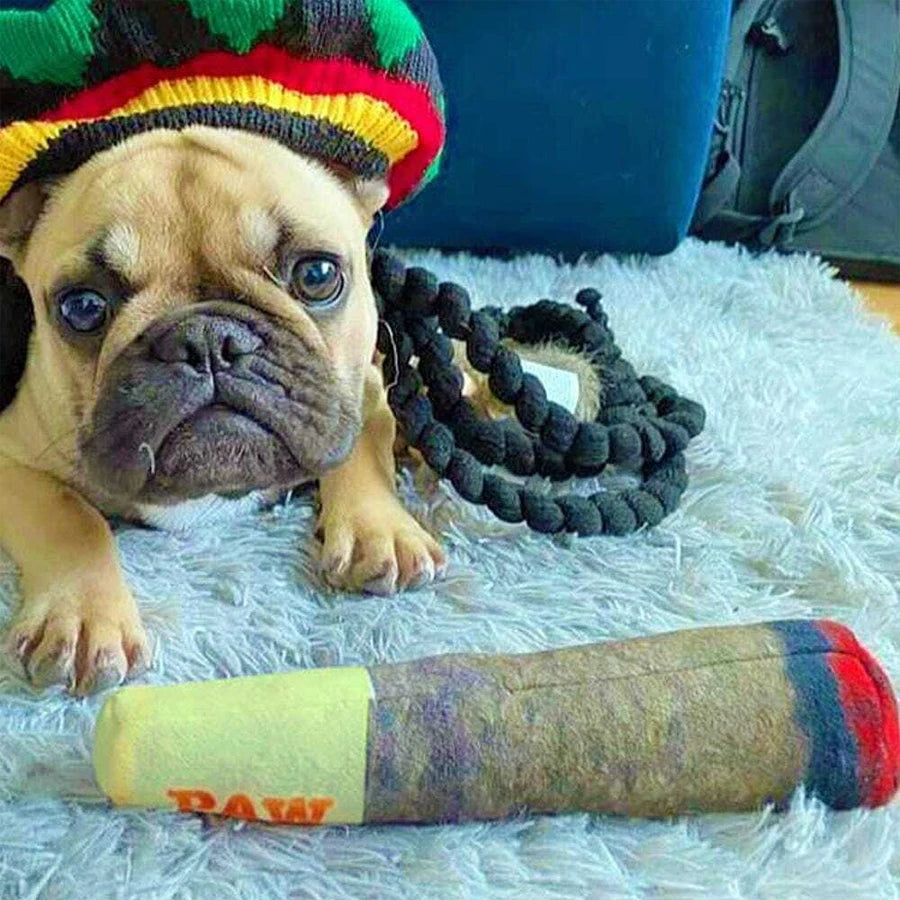 Funny Cigar Squeaky Dog Toy Plush Chew Toy for Small Medium Dogs Teeth Aid