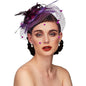 Flowers Feather Mesh Headwear Hat Party Accessory 1pc 27cm Multi Colour