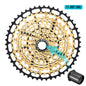 SPEDAO MTB Cassette 10–50T | 12-Speed XD Compatible Sprocket Steel Flywheel