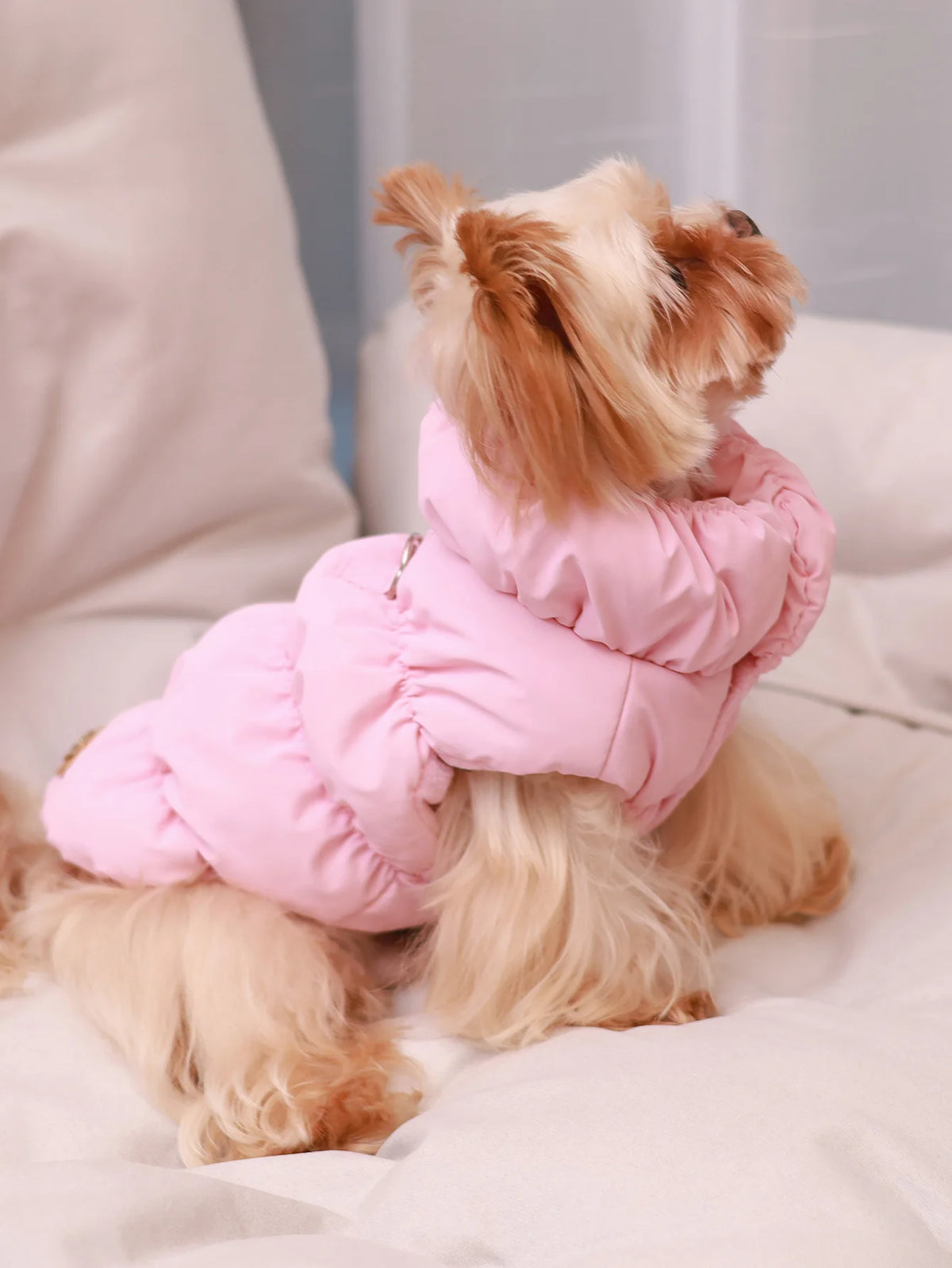 Dog Jacket Waterproof Warm Coat for Small Medium Dogs Autumn Winter