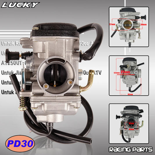 30mm Carburetor Manual Choke Compatible with Jianshe QingQi 250 ATV Quad